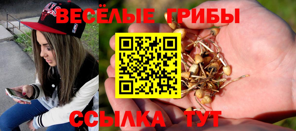 Псилоцибиновые грибы ЛСД Сатка