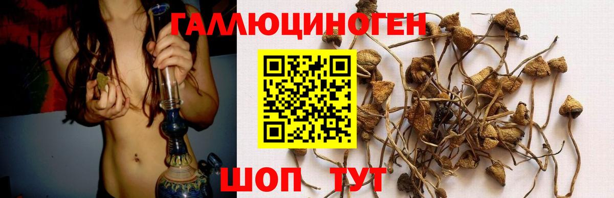 Псилоцибиновые грибы ЛСД  Псилоцибиновые грибы ЛСД  Вход с VPN  Сатка 